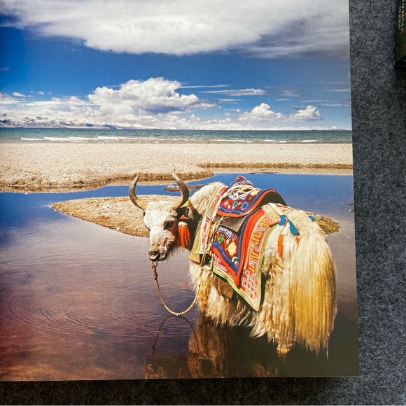 Visions of Earth National Geographic Photographs of Beauty, Majesty, and Wonder - Picture 8 of 15